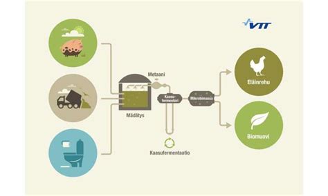  Okara: Een Versatiel Eiwitwonder Voor Veevoeder en Bioplastics!