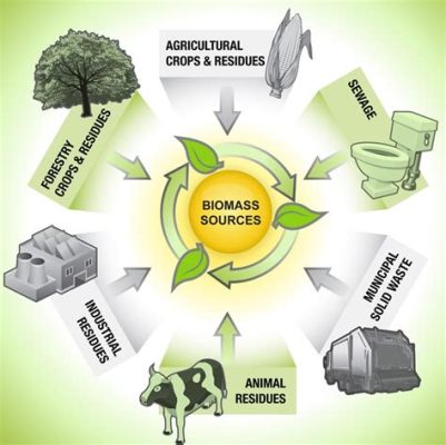  Biomassa als Basis voor Innovaties in de Industrie en Landbouw!