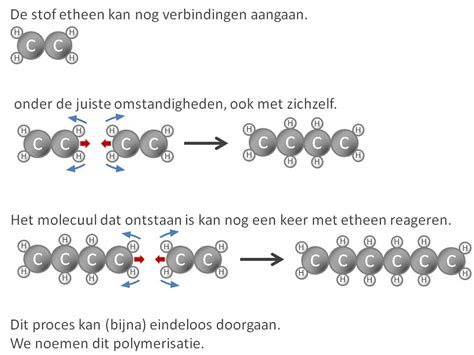  Glutaraldehyde: Verharding van Polymeren en Conservatie van Biologische Materialen!