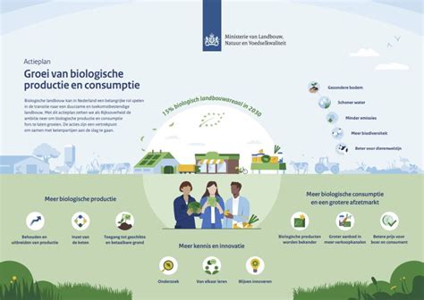  Neemhout: De Wonderlijke Eigenschappen van een Duurzame Materialenbron voor Biologische Toepassingen!