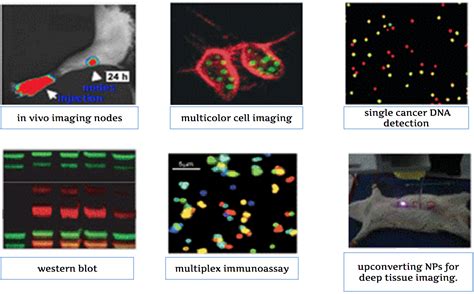  Quantum Dots: De Revolutionaire Nanohelden voor Superieure Displays en Bio-Imaging!